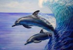 Oil Painting - Dolphins by Melody Owens