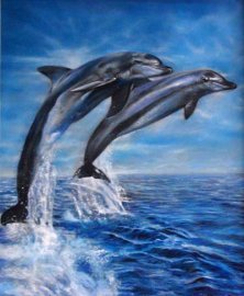 Dolphins Oil Painting by Melody Owens